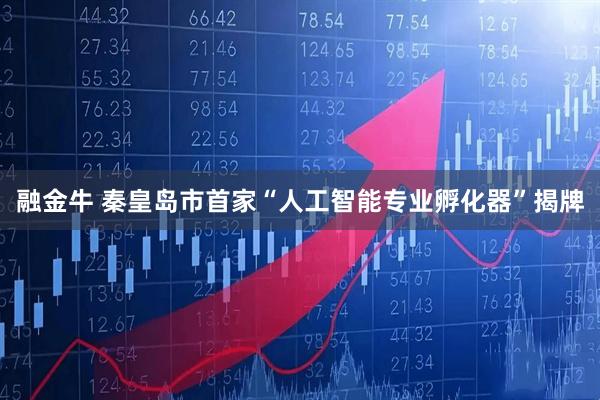 融金牛 秦皇岛市首家“人工智能专业孵化器”揭牌