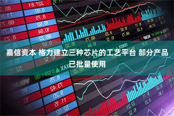 嘉信资本 格力建立三种芯片的工艺平台 部分产品已批量使用