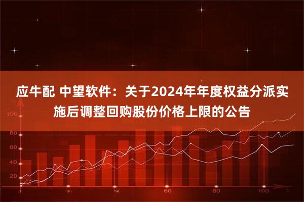 应牛配 中望软件：关于2024年年度权益分派实施后调整回购股份价格上限的公告