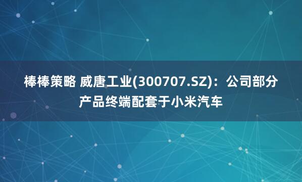 棒棒策略 威唐工业(300707.SZ)：公司部分产品终端配套于小米汽车