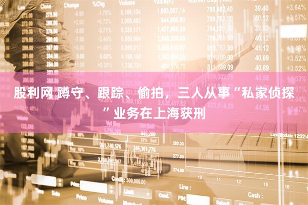 股利网 蹲守、跟踪、偷拍，三人从事“私家侦探”业务在上海获刑