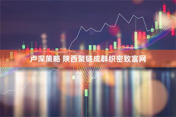 卢深策略 陕西聚链成群织密致富网