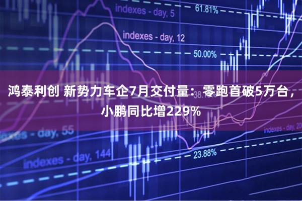 鸿泰利创 新势力车企7月交付量：零跑首破5万台，小鹏同比增229%
