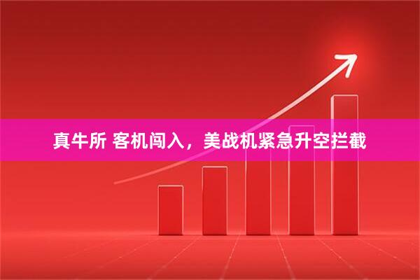 真牛所 客机闯入，美战机紧急升空拦截