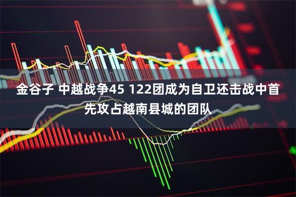 金谷子 中越战争45 122团成为自卫还击战中首先攻占越南县城的团队