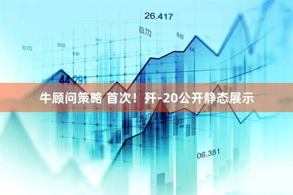 牛顾问策略 首次！歼-20公开静态展示