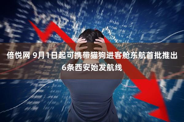 倍悦网 9月1日起可携带猫狗进客舱东航首批推出6条西安始发航线