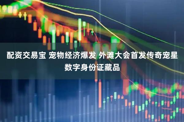 配资交易宝 宠物经济爆发 外滩大会首发传奇宠星数字身份证藏品