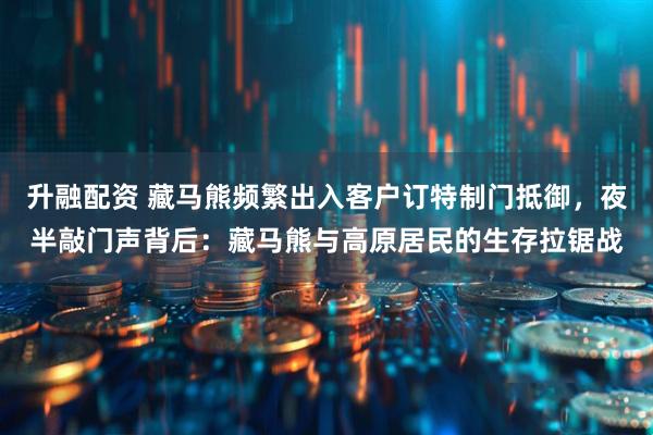 升融配资 藏马熊频繁出入客户订特制门抵御，夜半敲门声背后：藏马熊与高原居民的生存拉锯战
